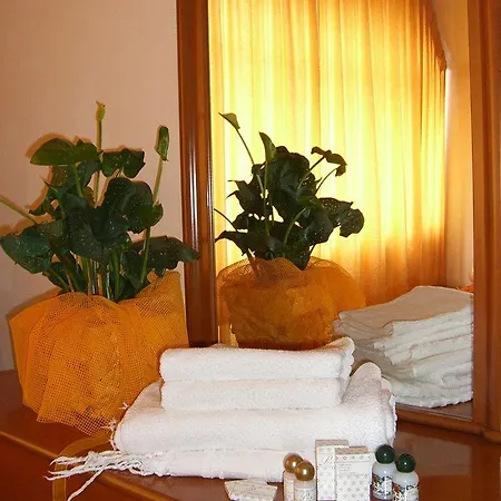 Hotel 2000 3*